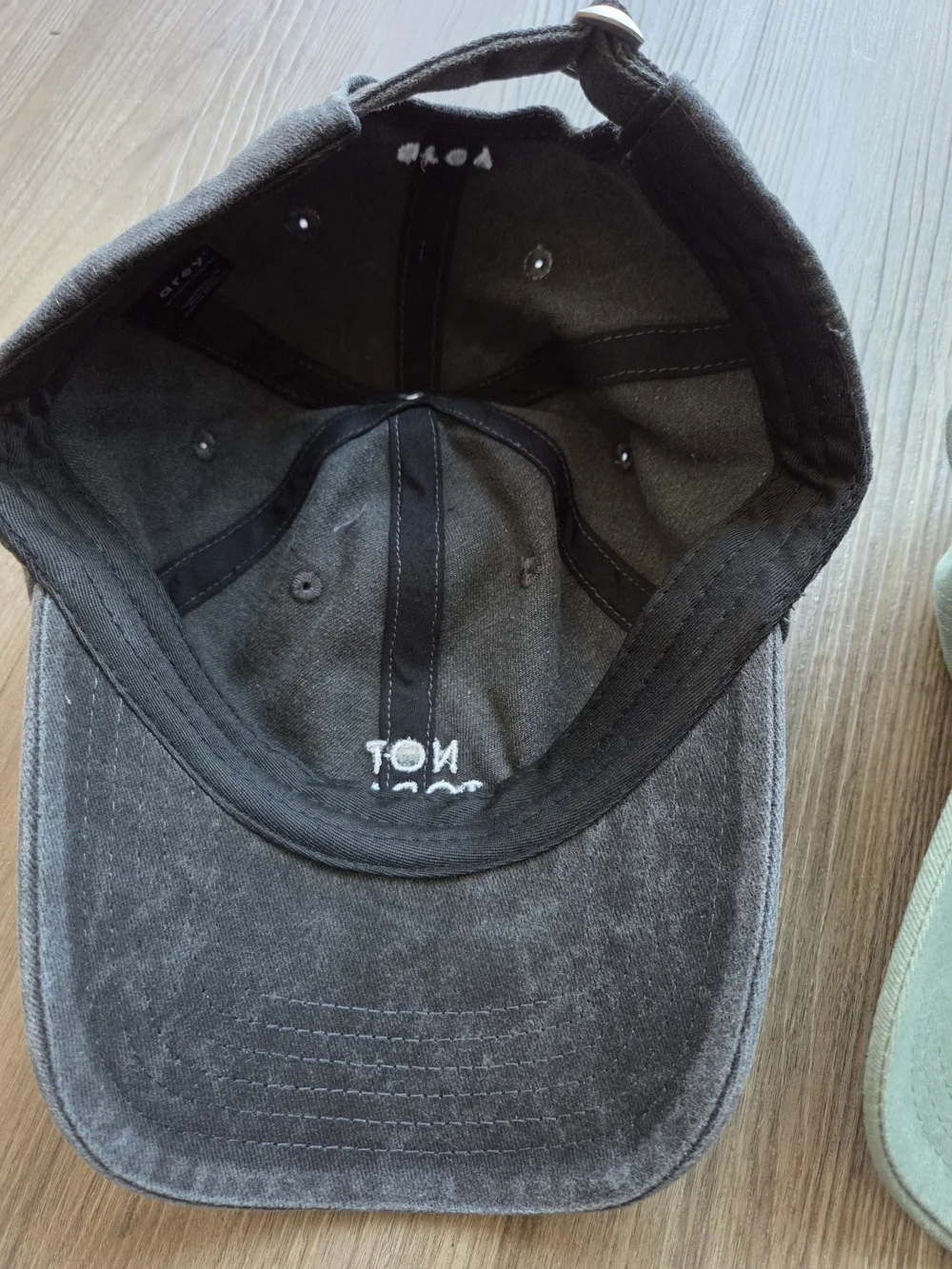 NWOT Caps: Arey Not Today Charcoal Gray & Biossance Sage Green Dad Hats Lot of 2
